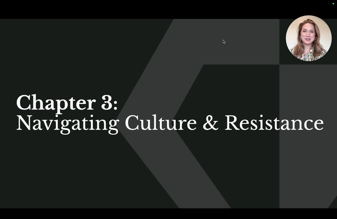 Navigating Culture and Resistance, lesson 3 of Navigate the Landscape: Politics and Networks