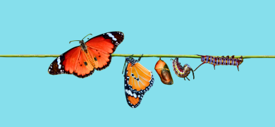 The DNA of a transformational leader