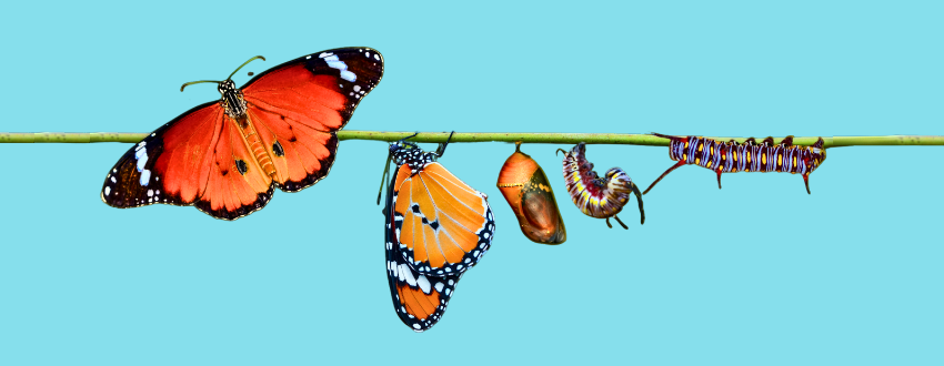 Transformational-leader-lg