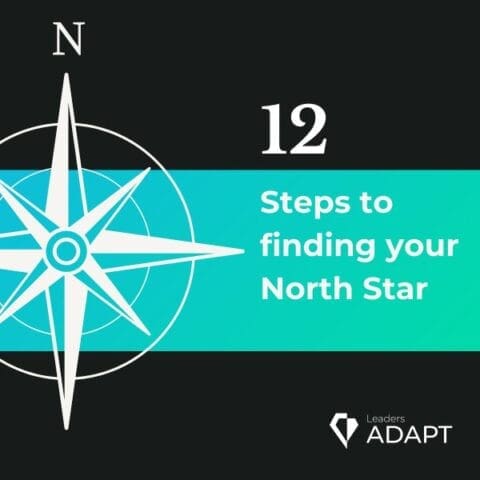 12-Steps to finding your north star